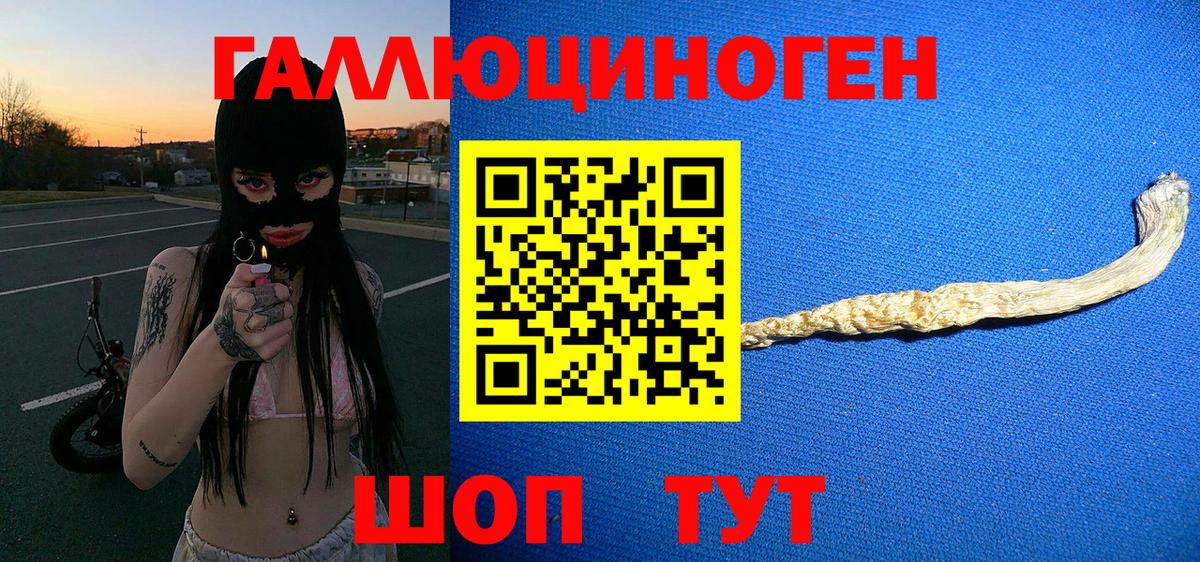 Валуйки  Псилоцибиновые грибы прущие грибы  Вход с VPN 